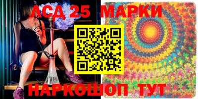 амф Сланцы