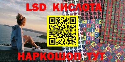 амф Сланцы