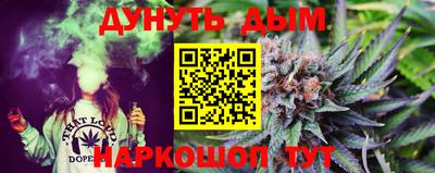 амф Сланцы