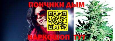 амф Сланцы