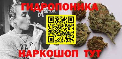 a pvp Славянск-на-Кубани