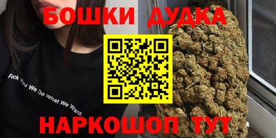 амф Сланцы