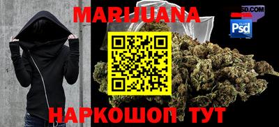 амф Сланцы