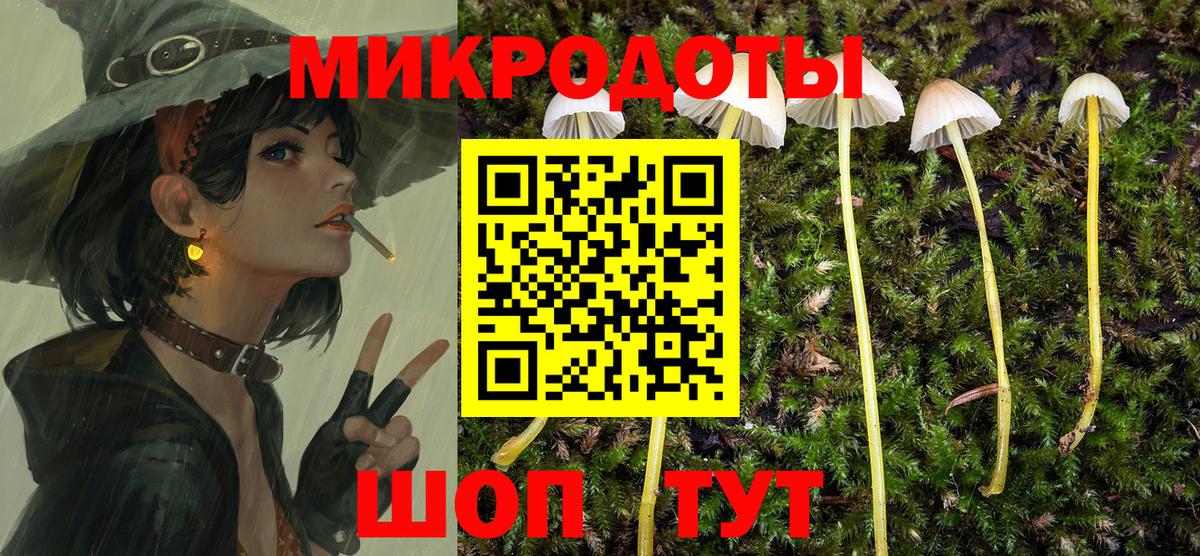 как найти закладки  Вход с VPN  Ногинск  Галлюциногенные грибы прущие грибы  Галлюциногенные грибы Psilocybine cubensis 